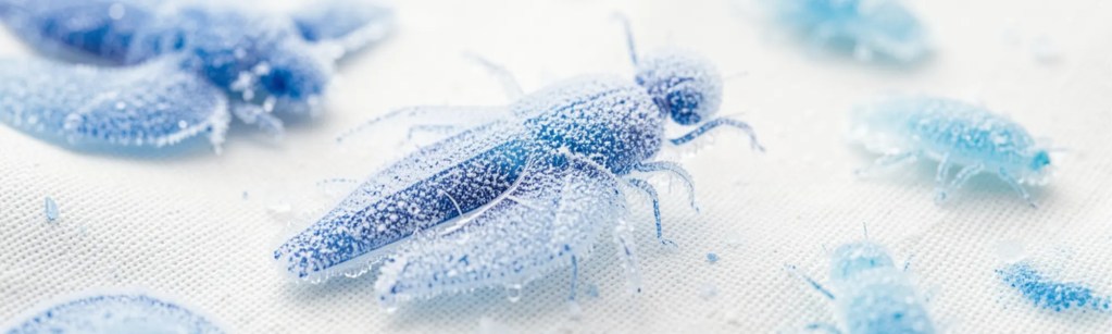 wymrażanie pluskiew